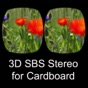 3D SBS Stereo for Cardboard app download