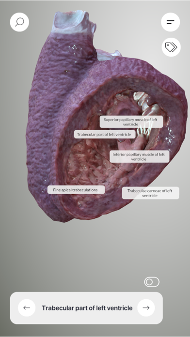 3D Heart Anatomyのおすすめ画像7