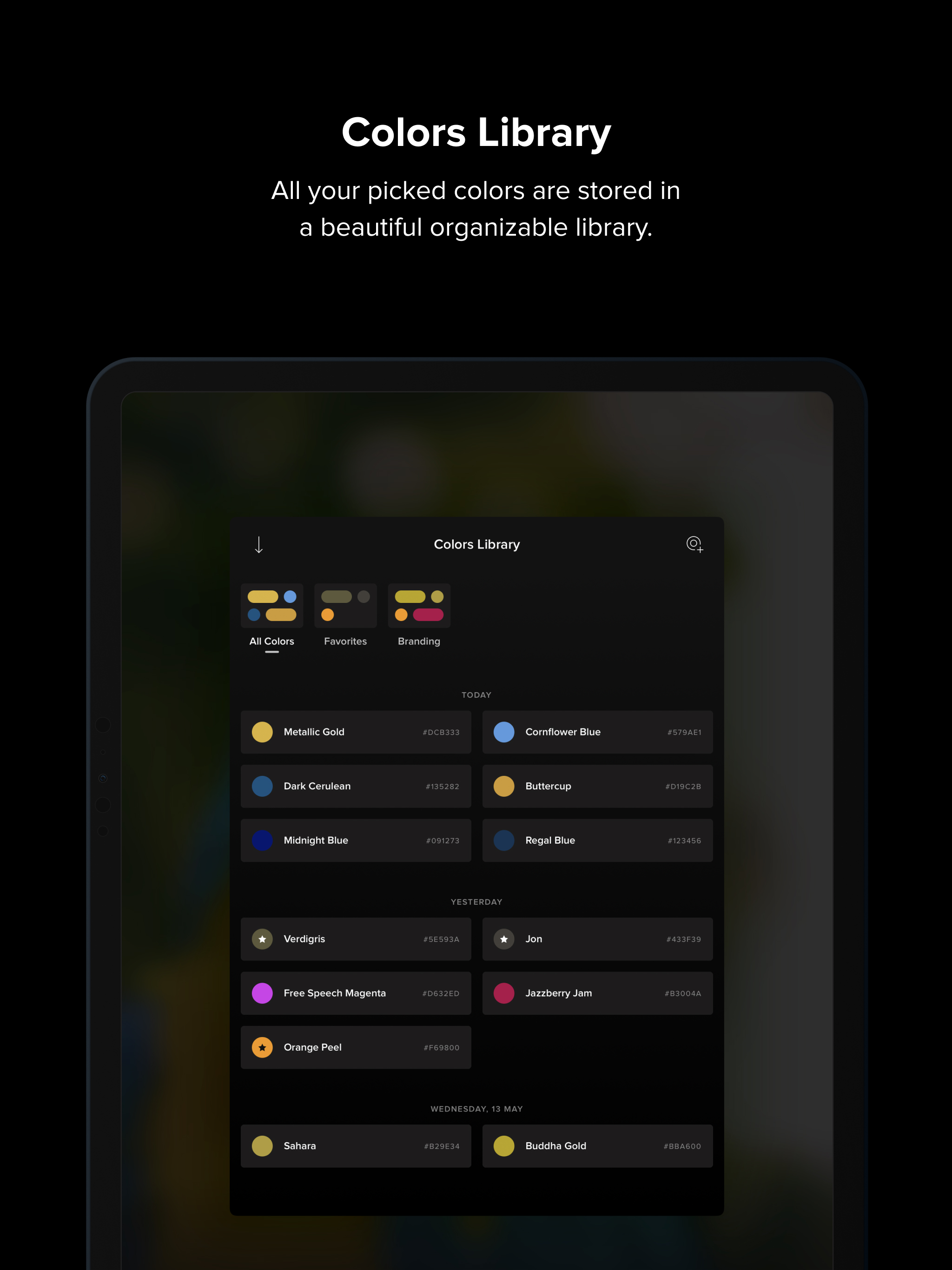 Cone Color Picker & Identifier