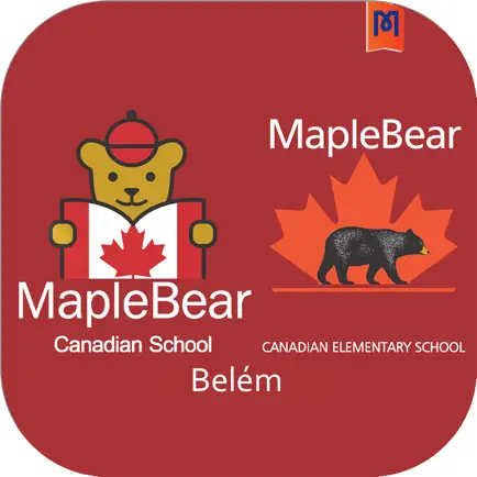 Maple Bear Belém Читы