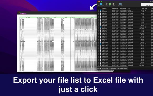 Captura de pantalla de exportación de lista de archivos