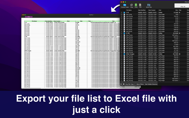 ‎Files List Export Screenshot