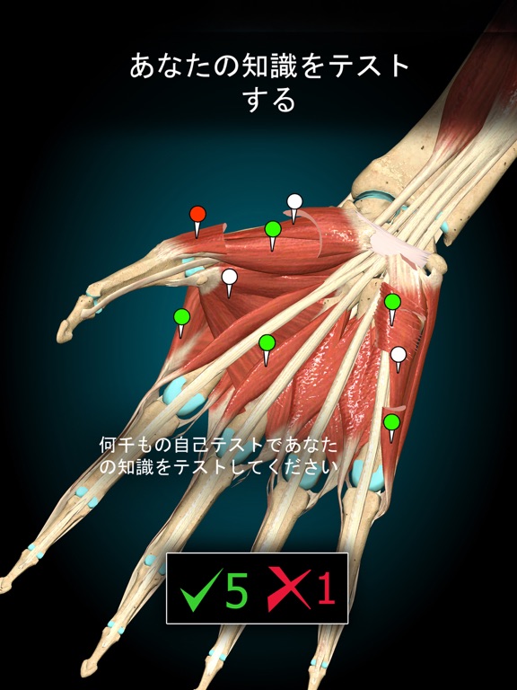 Anatomy Learning - 3Dアナトミーのおすすめ画像5