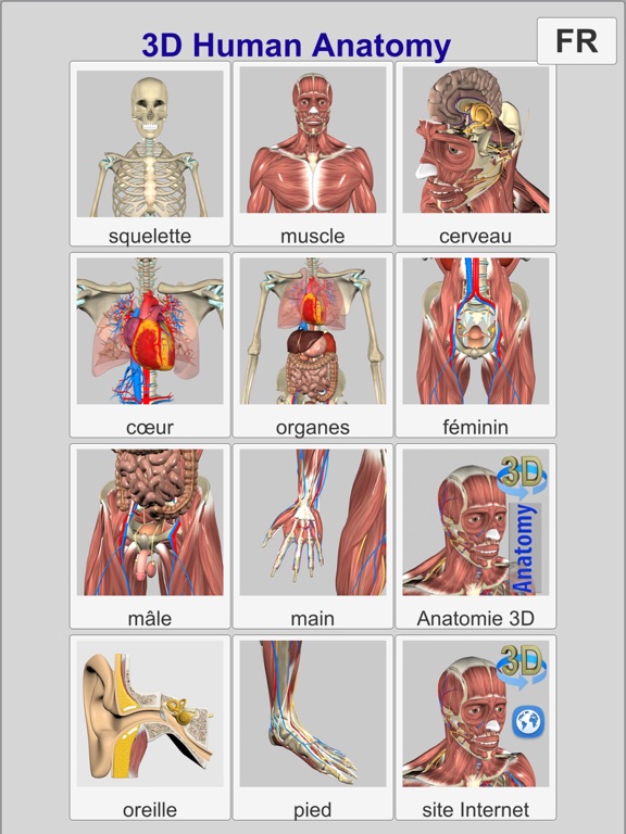 Screenshot #4 pour 3D Anatomy Learning