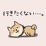Download Shiba Inu's relaxed sticker app