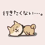Shiba Inu's relaxed sticker App Contact