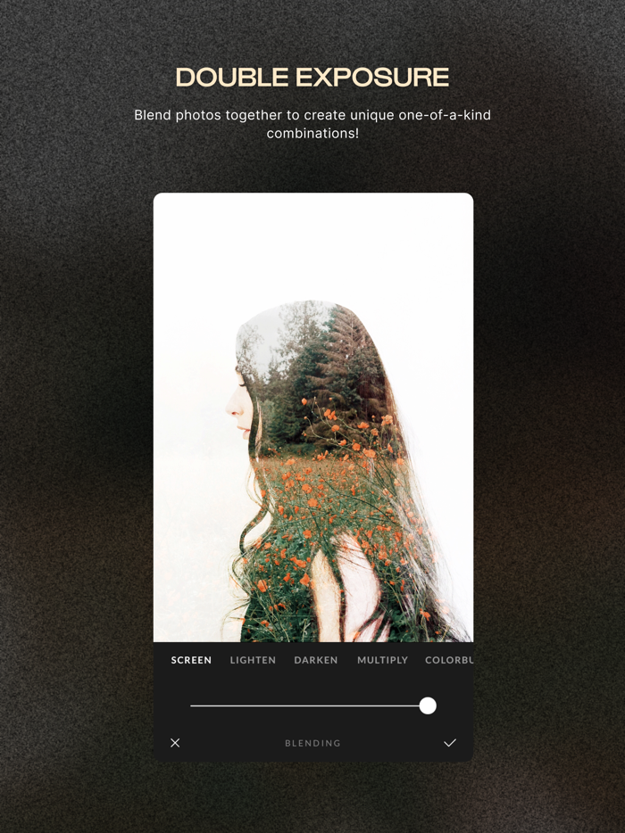 Afterlight Photo Editor