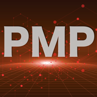 PMP Prep Exam Original