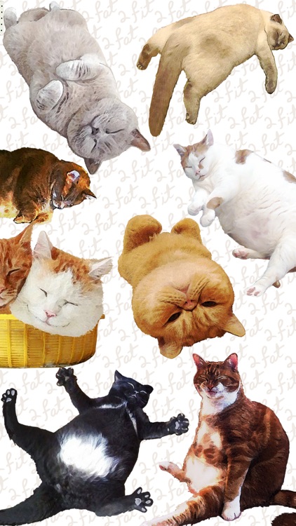 CatNap 2: Fat Cat Sticker Pack screenshot-3