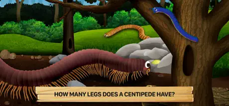 Bugs 2: What Are They Like?