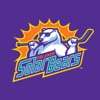 Orlando Solar Bears