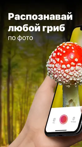 Game screenshot Picture Mushroom - гриб mod apk