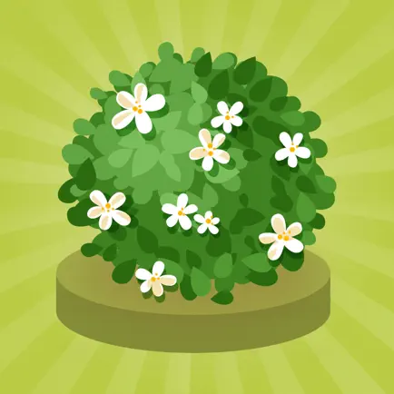 Orchid Growth Cheats