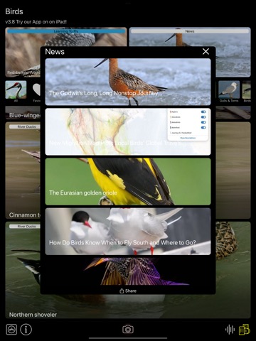 Birds of North America: Soundsのおすすめ画像5