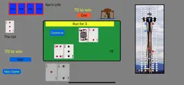 Game screenshot Master Cribbage mod apk