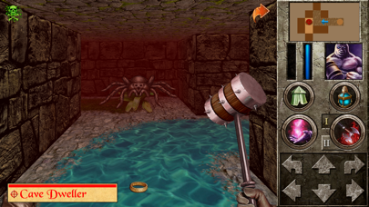 The Quest - Caerworn Castle Screenshot