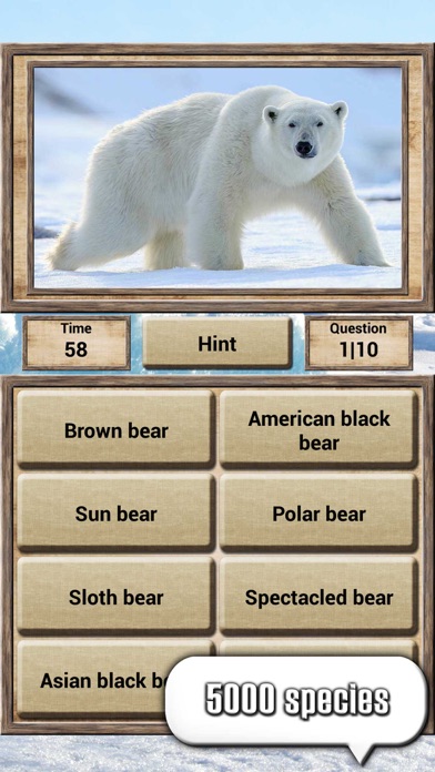 Animal Kingdom - Quiz Game Screenshot