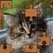 135+ different jigsaw puzzles for your iPad or iPhone