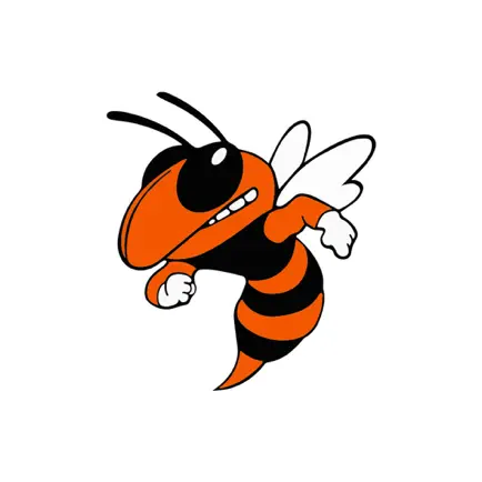 Strother Public Schools Читы