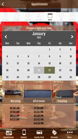 Game screenshot RC Grooming Experience hack
