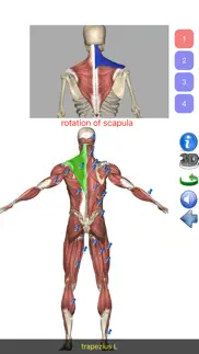 visual anatomy lite iphone screenshot 2