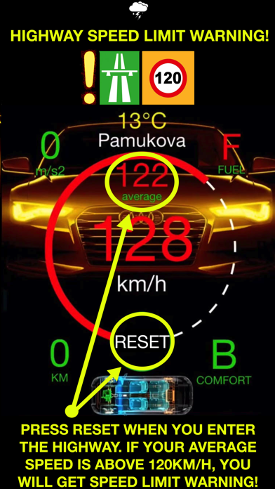 Dr. Falcon Driving Safety Screenshot