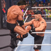 Real Wrestling Fighting 3D