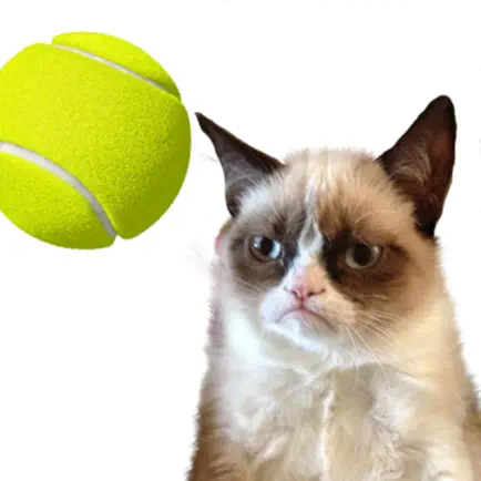 Cat Playing Tennis Cheats