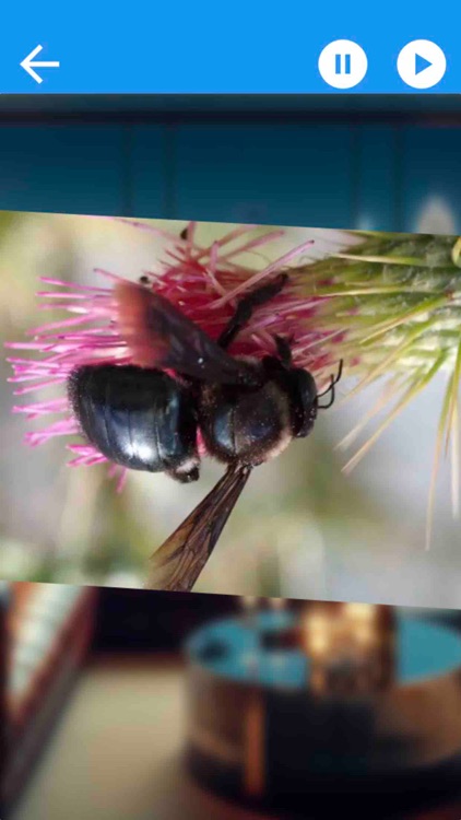 ARVideo Project screenshot-6