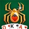 Icon Spider Solitaire Daily
