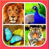 Animals Learning icon