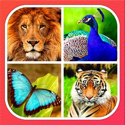 Animals Learning icon