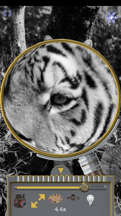 Magnifier (TiAu) LITE screenshot-4