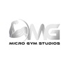 Micro Gym Studios icon