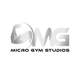 Micro Gym Studios