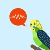 ChirpOMatic - Australian birds icon