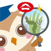 Diagnose Your Crops with AI