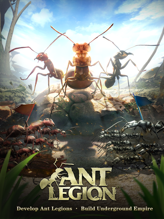 ants cooperating posters