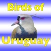 The Birds of Uruguay icon