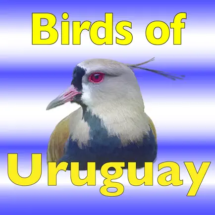 The Birds of Uruguay Cheats