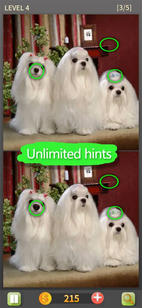 Find The Difference Games - Go