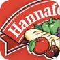 Hannaford app download