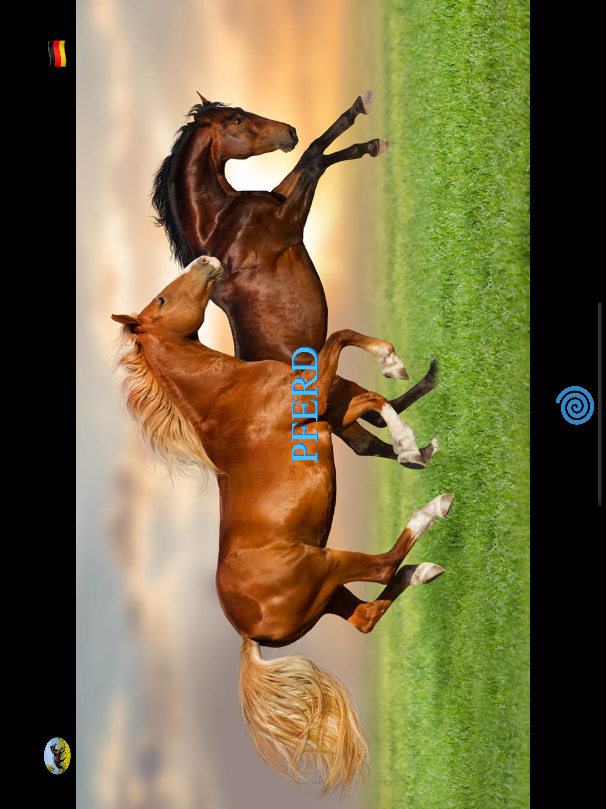 Animal Pad Sounds screenshot 12