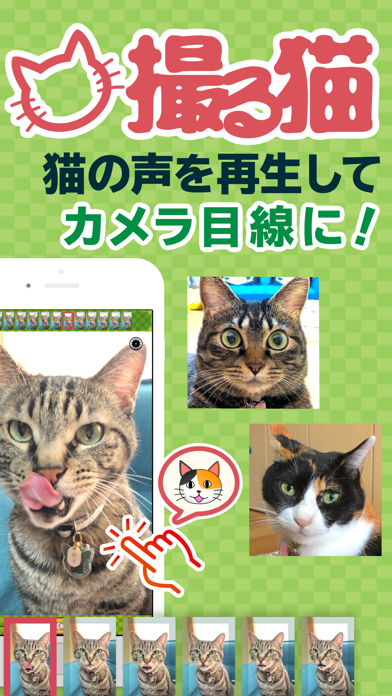 撮る猫のおすすめ画像2