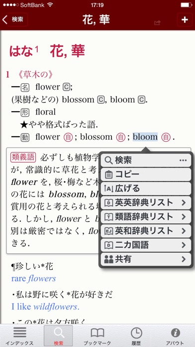 Luminous E-J Dictionary Screenshot