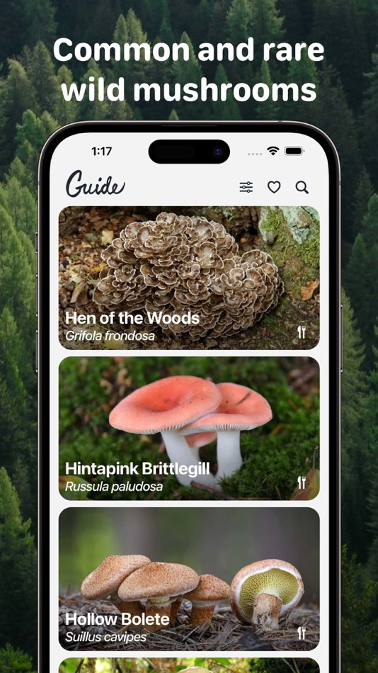 #2. Rostou! - Mushroom Guide (iOS) โดย: Jan Stehlik