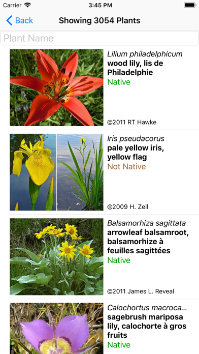Screenshot #2 pour British Columbia Wildflowers