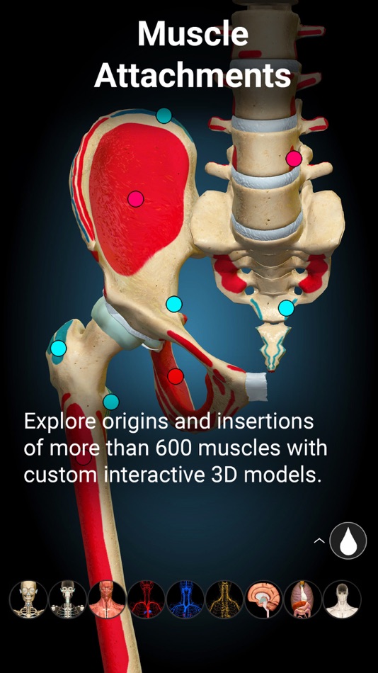 #5. Anatomy Learning - 3D Anatomy (iOS) 게시자: 3DMedical OU