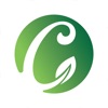 Cardamom Auction icon