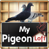 My Pigeon Loft HD - Baynon Properties, LLC